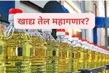 खाद्यतेलाच्या किमती वाढणार का? केंद्र सरकारने दिलं उत्तर खाद्यतेलाच्या किमती वाढणार का? केंद्र सरकारने दिलं उत्तर