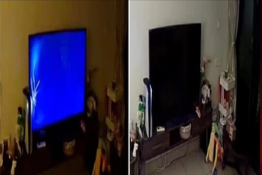 Viral Video : रागात रिमोट फेकला अन् 'गेम' झाला, काही सेकंदात झालं एक लाखाचं नुकसान