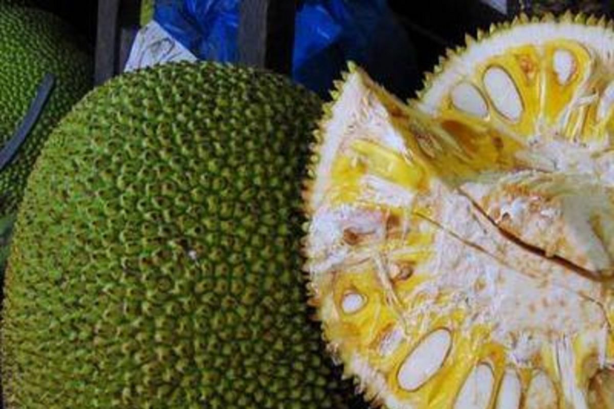 गोड, रसाळ असलं तरी उन्हाळ्यात हे फळ भरपूर खा; वजन राहील नियंत्रणात आणि हाडंही होतील मजबूत