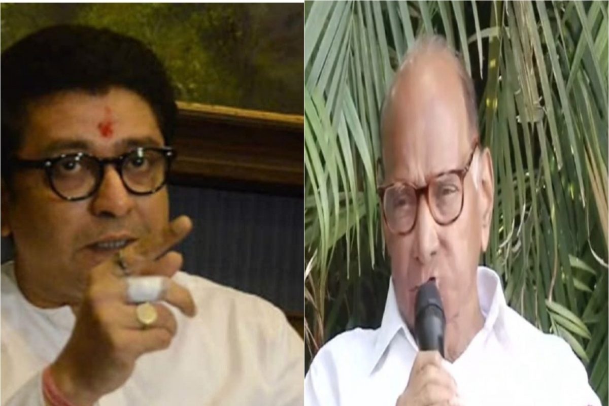 शरद पवार-राज ठाकरेंमध्ये बाबासाहेब पुरंदरेंवरुन वाद; प्रकरणात लेखक जेम्स लेनने केला मोठा खुलासा?