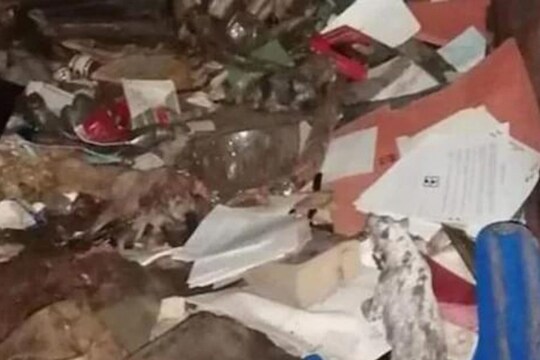 कपलने FB वर शेअर केला अनेक वर्षांपासून बंद असलेल्या घराचा फोटो; नेटकऱ्यांना दिसलं भीतीदायक दृश्य