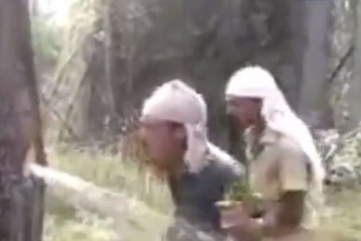 निसर्गाची अनोखी किमया! फक्त ऑक्सिजनच नाही तर पिण्याचं पाणीही देतं हे झाड; पाहा Viral Video