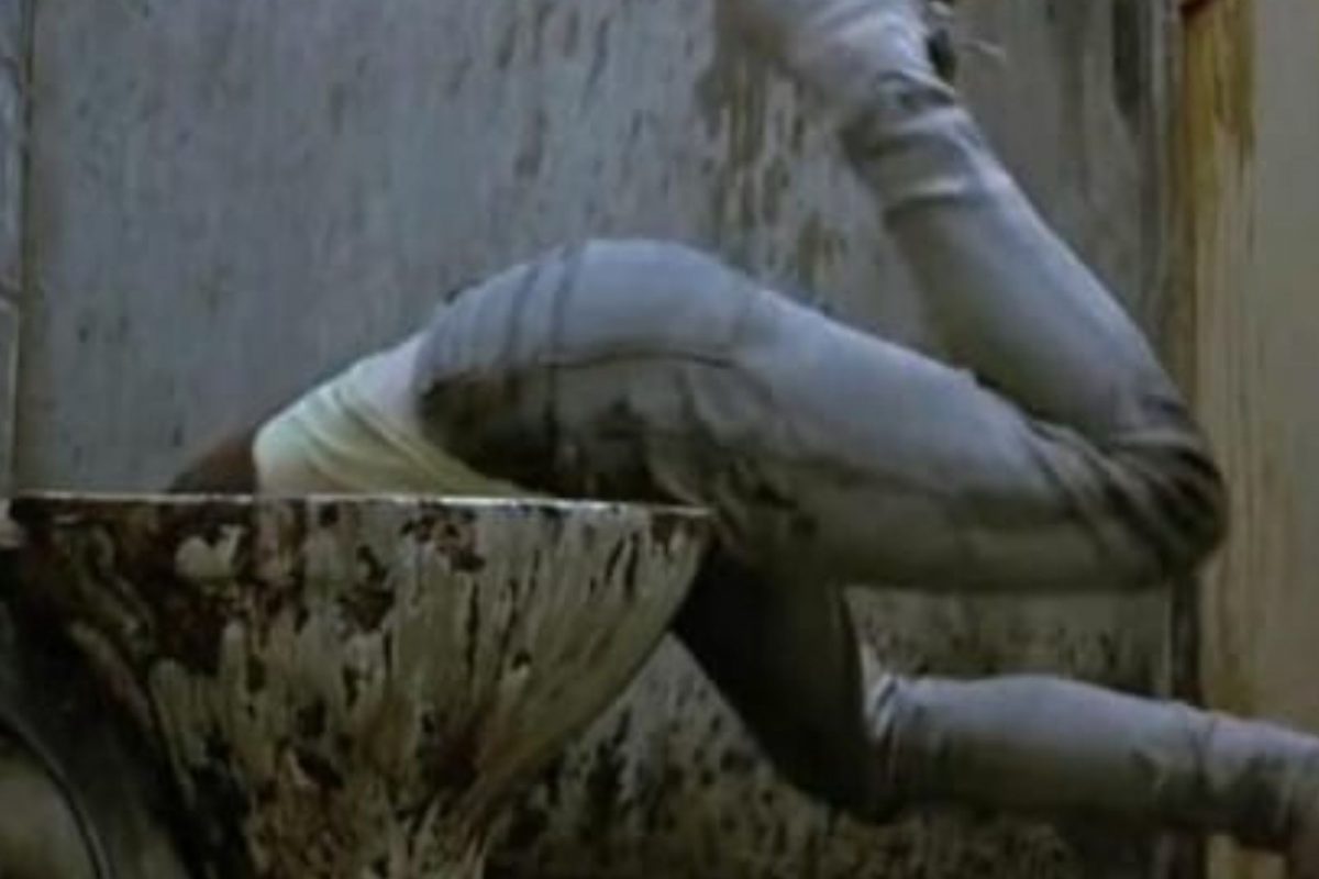 टॉयलेट सीटमध्ये पडला मोबाईल; बाहेर काढण्यासाठी महिलेनं डोकं आत घातलं पण झाला भलताच उद्योग