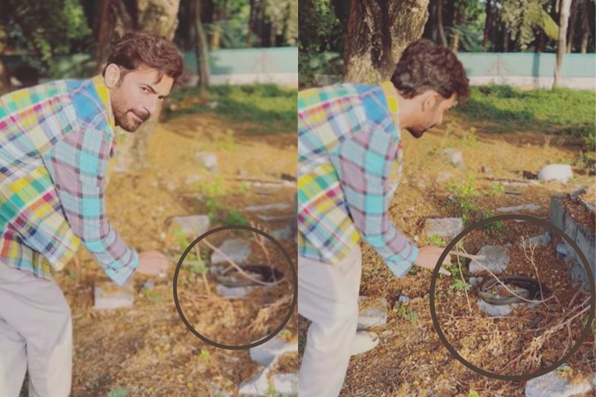 Braveheart! सर्जरीनंतर साप पकडताना दिसला कॉमेडियन सुनील ग्रोव्हर; पाहा VIDEO