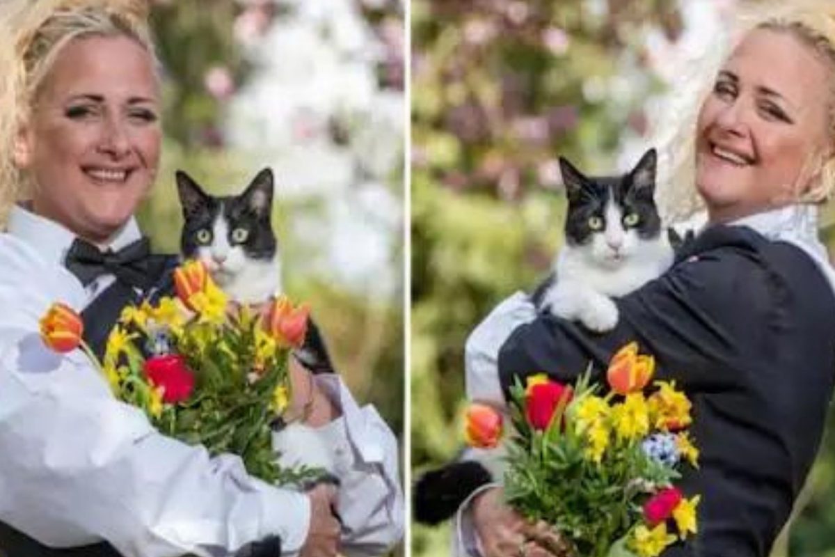 अजबच! महिलेनं चक्क पाळीव मांजरीसोबत बांधली लग्नगाठ; सांगितलं विचित्र कारण