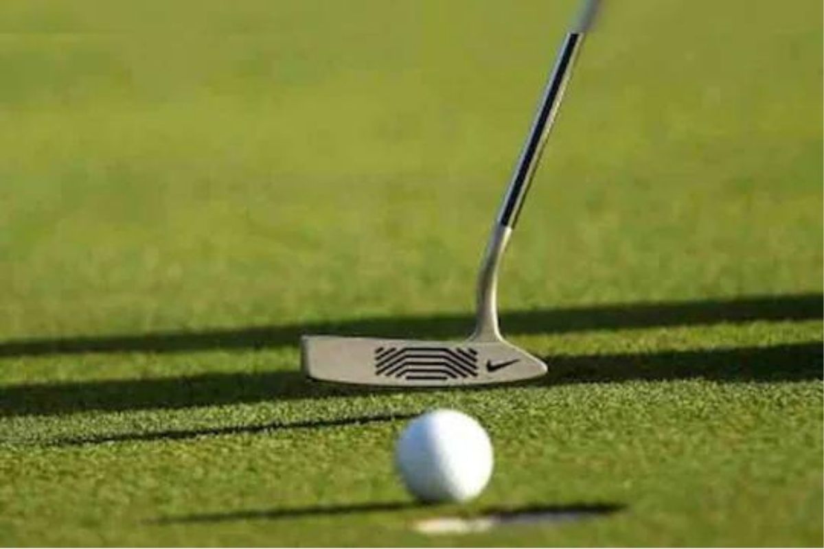 अजब प्रकरण! घरात दररोज पडायचे गोल्फ बॉल; कोर्टात केस करताच करोडपती झालं हे जोडपं