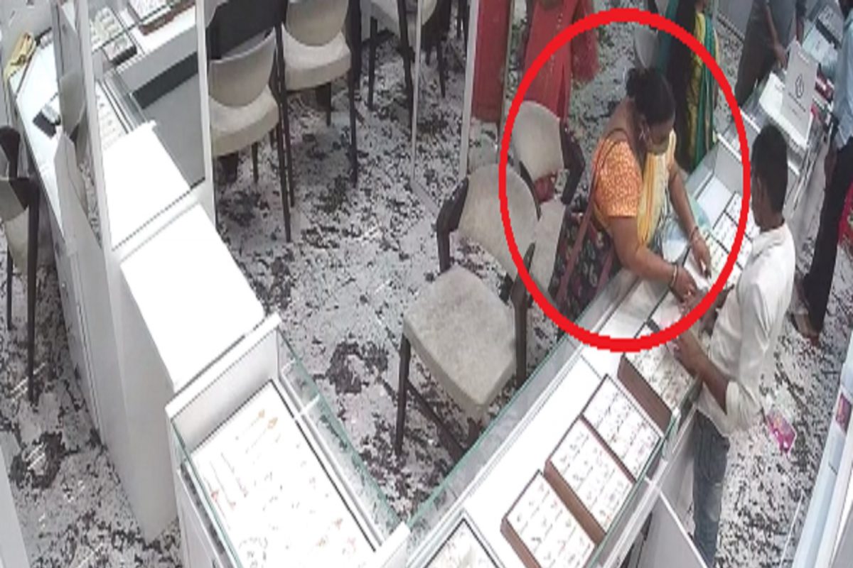 50 दुकानं लुटून झळकावले 'बबली'ने अर्धशतक, 51 व्या दुकानात झाली 'आऊट', पाहा हा VIDEO