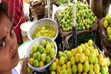 'या' कारणांमुळे लिंबू उन्हापेक्षाही झाला HOT, भाव कधी उतरणार? 'या' कारणांमुळे लिंबू उन्हापेक्षाही झाला HOT, भाव कधी उतरणार?