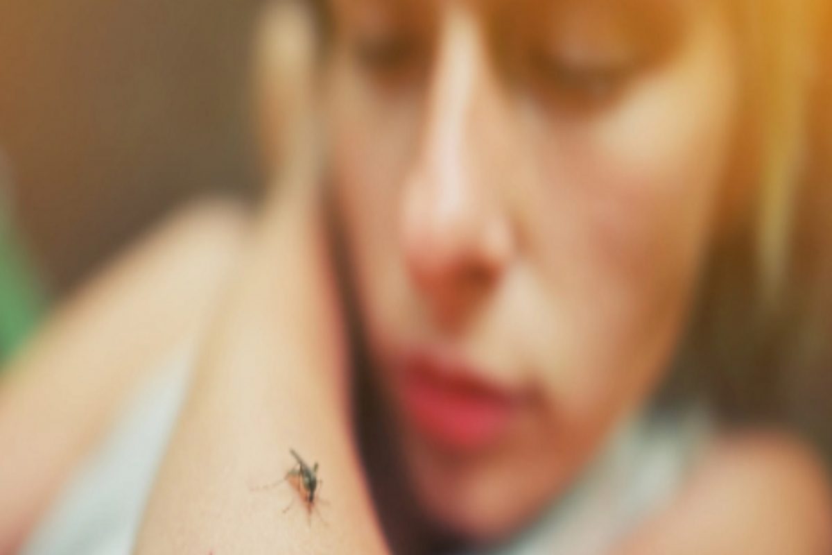 World Malaria Day: किडनी, फुफ्फुस निकामीही करू शकतो मलेरिया; वेळीच करा उपचार, काय आहेत लक्षणं