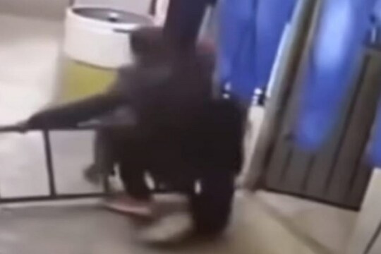 OMG! कॅमेऱ्यात हे दृश्य कैद झालं नसतं तर विश्वासच बसला नसता; VIDEO पाहून नेटिझन्स शॉक
