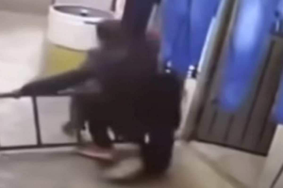 OMG! कॅमेऱ्यात हे दृश्य कैद झालं नसतं तर विश्वासच बसला नसता; VIDEO पाहून नेटिझन्स शॉक