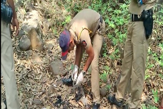 घनदाट जंगलाचा फायदा घेऊन महिलेला ठार मारून पुरावा नष्ट करण्याच्या हेतूने पेट्रोल टाकून जाळल्याची धक्कादायक घटना समोर आली 