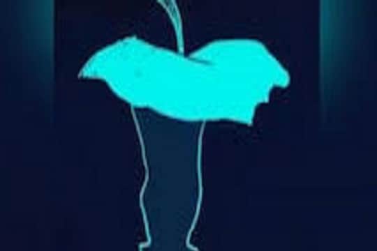 Optical Illusion: तुम्ही खुश आहात की नाही, हा फोटो सांगेल तुमच्या मनातलं सीक्रेट