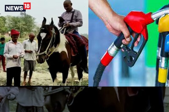 Petrol-Diesel किमतींचा वीज कर्मचाऱ्याला झटका; गाडी सोडून घोड्यावरुन करावं लागतंय हे काम