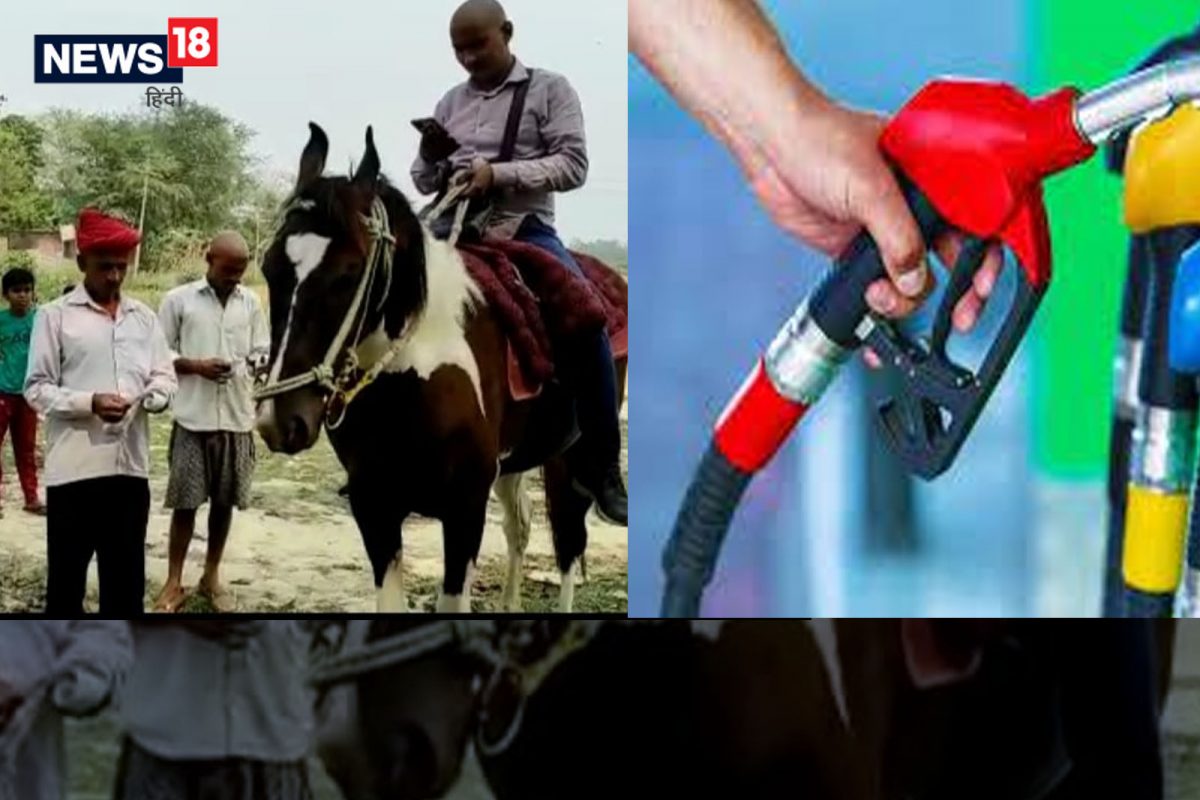 Petrol-Diesel किमतींचा वीज कर्मचाऱ्याला झटका; गाडी सोडून घोड्यावरुन करावं लागतंय हे काम