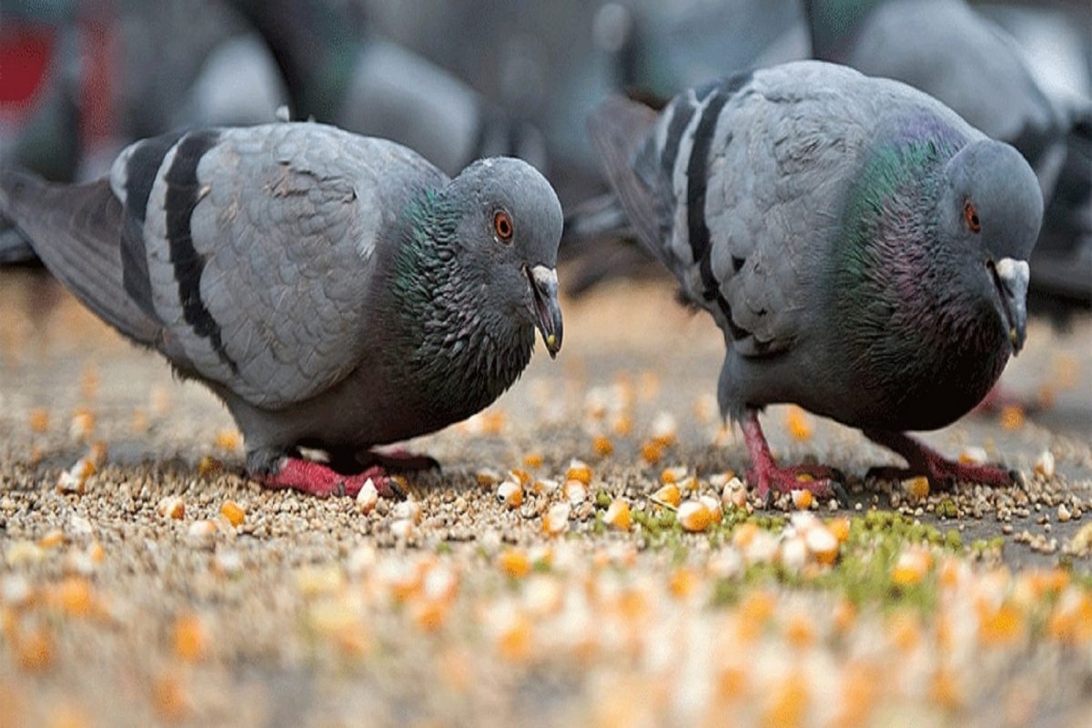 (Representative Image: Getty Images)