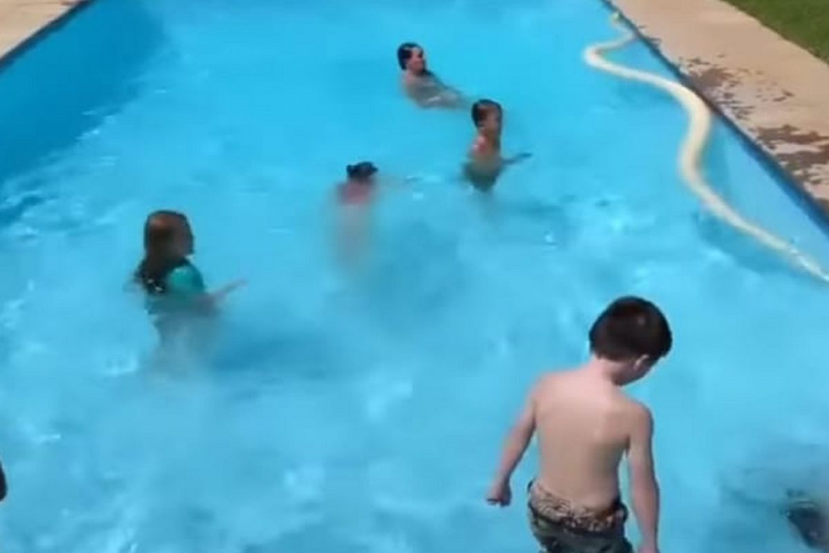 स्विमिंग पूलमध्ये खेळत होती लहान मुलं; अचानक भलामोठा अजगर पाण्यात आला आणि...; Shocking