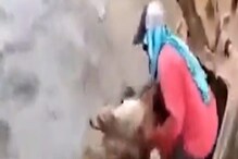 पाण्यात वाहून जात होता कुत्रा, जीव धोक्यात घालून असं केलं की...Video Viral पाण्यात वाहून जात होता कुत्रा, जीव धोक्यात घालून असं केलं की...Video Viral