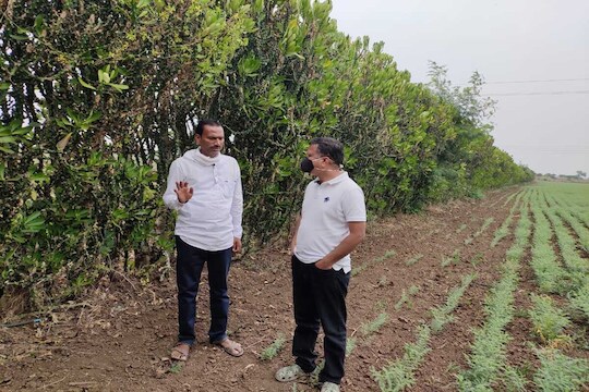 Farmer Story : वन्यप्राण्यांपासून शेतीला धोका, शेतकऱ्याकडून शेती संरक्षणाचा यशस्वी प्रयोग