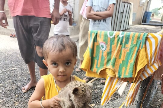  थरारक घटना, तब्बल आठवडाभर बिबट्याच्या बछड्याचा लहान मुलांनी केला सांभाळ.. 