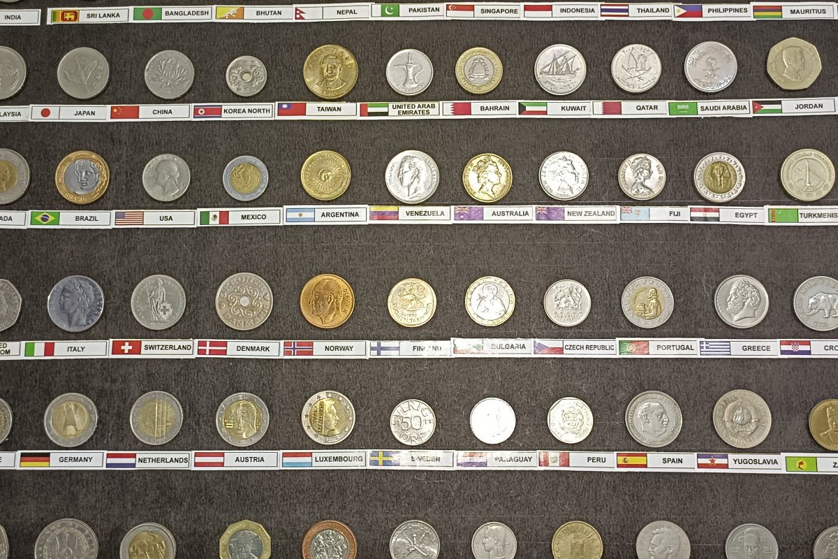 नाशकात असा ही एक अवलिया..!तब्बल १२० देशांमधील नाण्यांचा आणि नोटांचा केला संग्रह