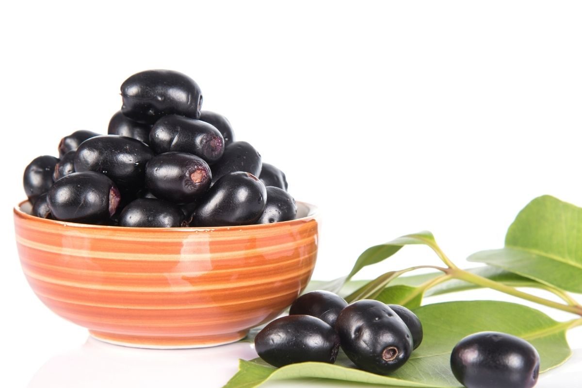 Jamun Seeds In Diabetes: जांभूळ खाऊन बिया फेकू नका; रक्तातील साखर नियंत्रणावर असा होतो उपयोग