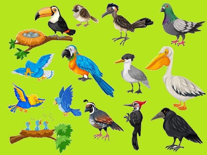 या अभ्यासानुसार जगातील एकून प्रजातीपैकी (Birds Species) 48 टक्के पक्षांच्या प्रजाती अशा आहेत, ज्यांची संख्या (Population of Birds) कमी होत आहे. त्याच वेळी, 39 टक्के प्रजातींची संख्या कायम आहे. फक्त सहा प्रजाती आहेत ज्यांची संख्या वाढत आहे आणि 7 टक्के प्रजातींची स्थिती माहित नाही. संशोधकांनी 11,000 पक्ष्यांच्या प्रजातींचा अभ्यास केला आहे. (प्रतिकात्मक फोटो: शटरस्टॉक)