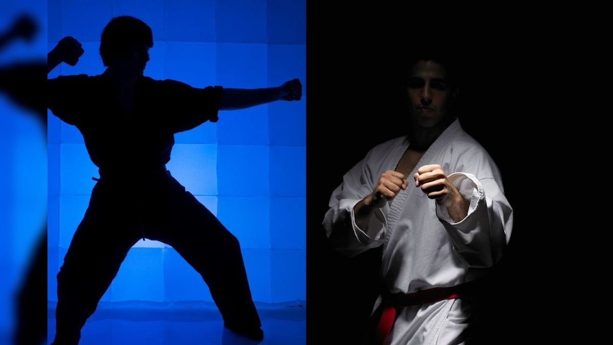 Difference between martial arts karate kung fu taekwondo amazing fact