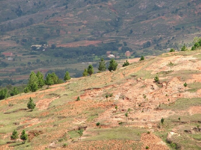 दक्षिण मादागास्करमध्ये दोन वर्षे दुष्काळ पडला. यावर संयुक्त राष्ट्राने म्हटले होते की, हवामानातील बदल या क्षेत्रात नैसर्गिक वैविध्य आणणारे घटक आहेत. हे असे प्रकरण होते जे दर्शविते की ग्लोबल वॉर्मिंग नेहमीच दोषी असू शकत नाही. हवामानातील बदल किंवा अत्यंत हवामानाच्या घटनांचा परिणाम जगातील अनेक देशांच्या धोरणांवर झाला आहे. (प्रतिकात्मक फोटो: पिक्साबे)
