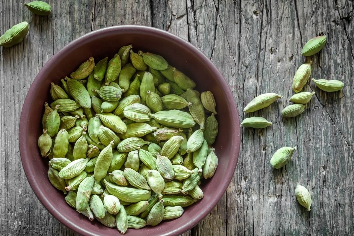 Cardamom Benefits: वेलची खाण्याचे इतके फायदे अनेकांना माहीतच नाहीत; अनेक समस्यांवर आहे प्रभावी