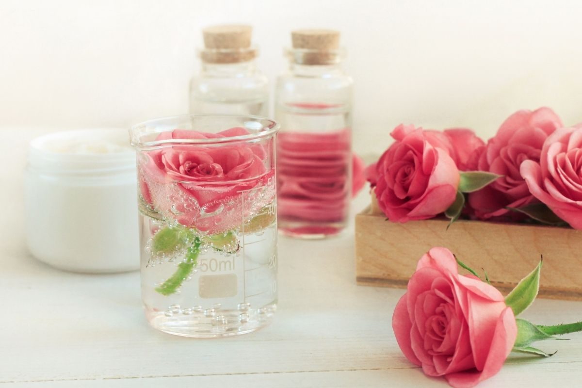 Rose water for hair: स्कीनसाठी गुलाब जल वापरलं असेल; केसांसाठीही त्याचा असा घरच्या-घरी करा उपयोग