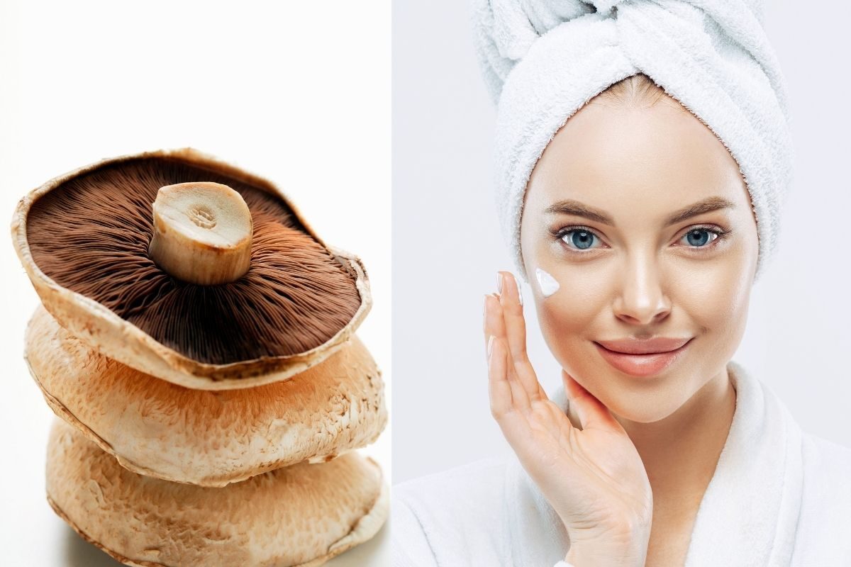 आरोग्यासाठीच नव्हे तर त्वचेसाठीही मशरूमचा असा होतो उपयोग; जाणून घ्या सर्व फायदे