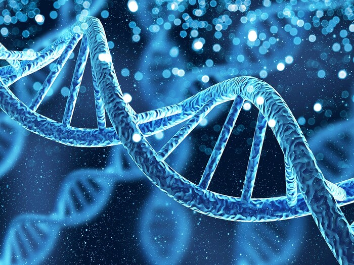 प्रजातींमध्ये आनुवंशिक (Genetic difference) फरक जितका जास्त असेल तितक्या वेगाने उत्क्रांती (Evolution) होऊ शकते. या प्रक्रियेत काही गुण नष्ट होतील आणि काही नवीन प्रबळ होऊन प्रस्थापित होतील. या अभ्यासात सहभागी संशोधकांनी त्याला उत्क्रांतीचे इंधन (Fuel of Evolution) म्हटले आहे. यासाठी, त्यांनी जगभरातील 19 वन्य प्राण्यांच्या गटांच्या डेटाचा अभ्यास केला, जो मागील अंदाजांपेक्षा अधिक समृद्ध डेटा आहे. या अभ्यासाच्या परिणामांनुसार, आपल्याला प्राण्यांच्या वेगाने उदयास येण्याबद्दलच्या आपल्या अपेक्षा बदलल्या पाहिजेत. (प्रतिकात्मक फोटो: शटरस्टॉक)