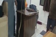 ठाणे शहरातील पोलीस ठाण्यात निघाला विषारी साप, कर्मचाऱ्यांमध्ये एकच गोंधळ ठाणे शहरातील पोलीस ठाण्यात निघाला विषारी साप, कर्मचाऱ्यांमध्ये एकच गोंधळ