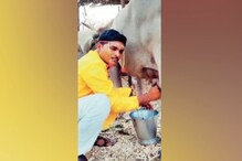 वरात दारात अन् नवरदेव जनावरांच्या गोठ्यात; लग्नाआधी कामाला दिलं प्राधान्य वरात दारात अन् नवरदेव जनावरांच्या गोठ्यात; लग्नाआधी कामाला दिलं प्राधान्य