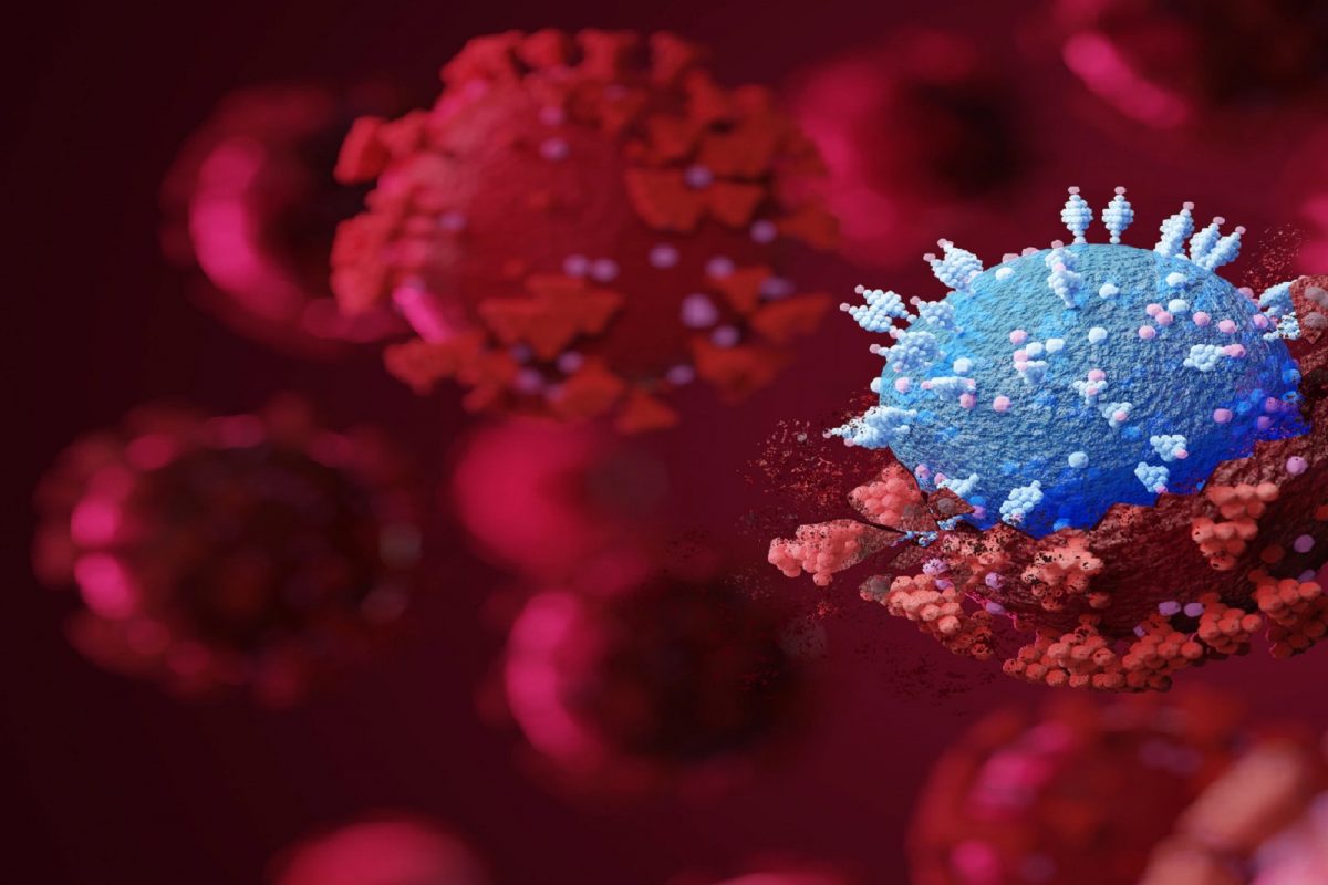 कोरोनावर प्रभावी नव्या अँटिबॉडी सापडल्या.