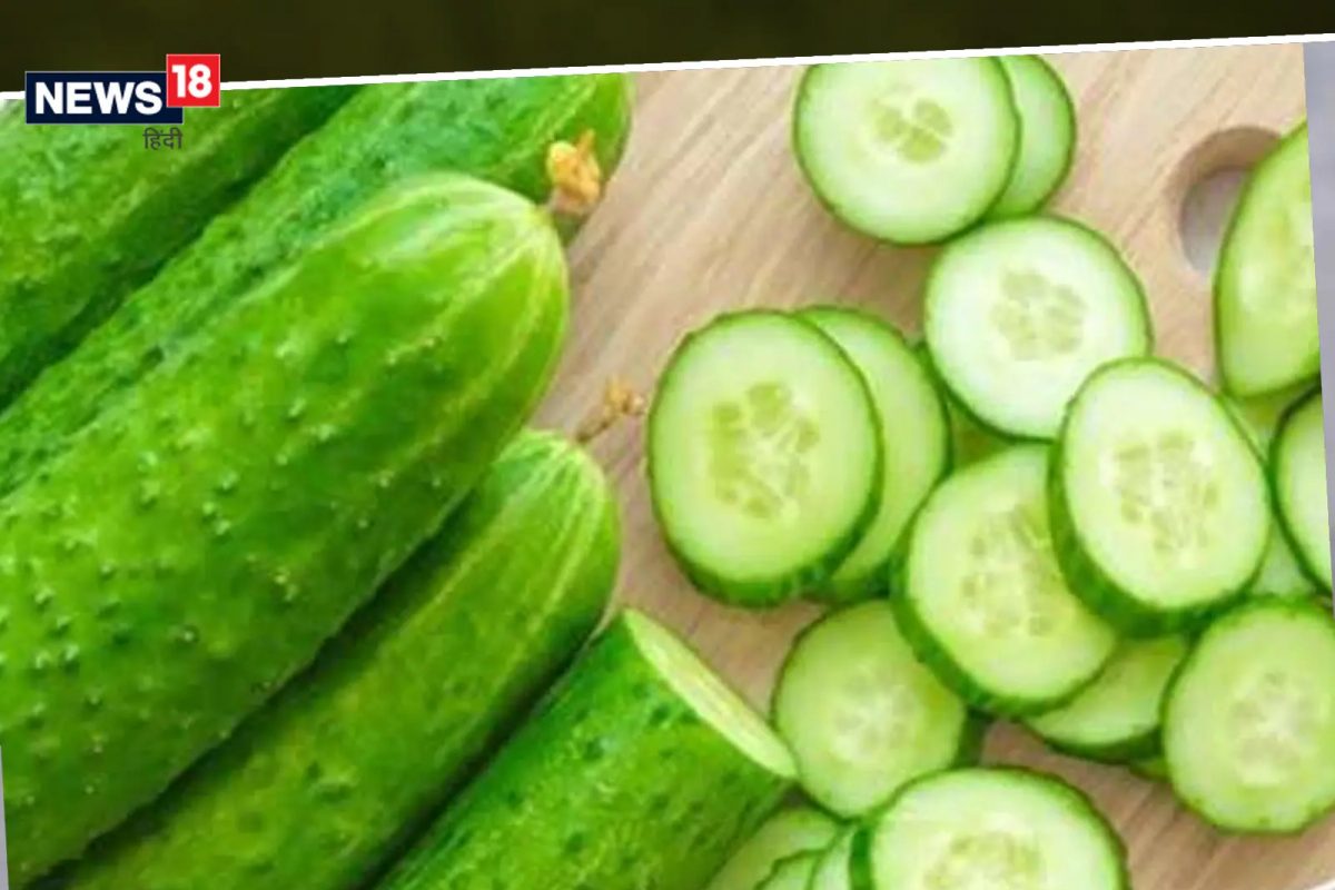 Health Tips: काकडी खा, मस्त राहा! काकडी खाण्याचे फायदे वाचा