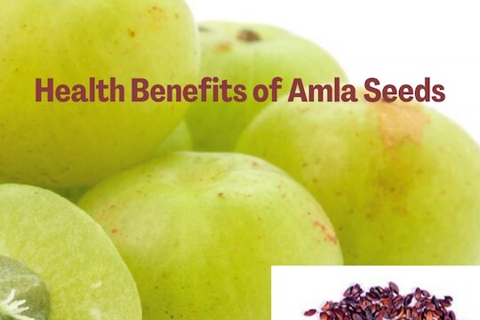 Amla Seed Benefits - आवळ्याच्या बियाही आहेत गुणकारी; फायदे वाचाल तर कधीच फेकणार नाही