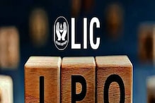 LIC IPO मध्ये गुंतवणूक करावी की नाही? तज्ज्ञांचं मत ऐकून निर्णय घ्या