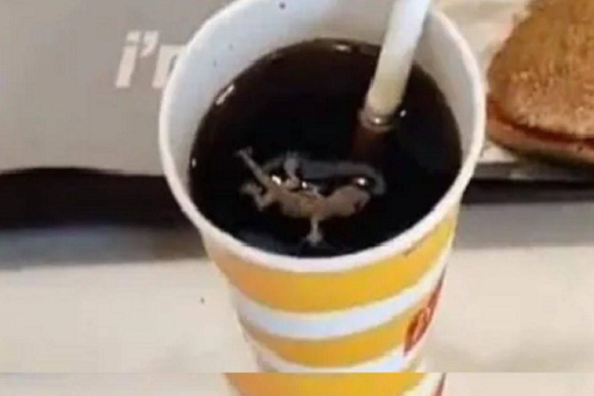 आधी पाल असलेली Cold drink दिली आणि नंतर...; McDonald’s मधील संतापजनक प्रकार; Video Viral