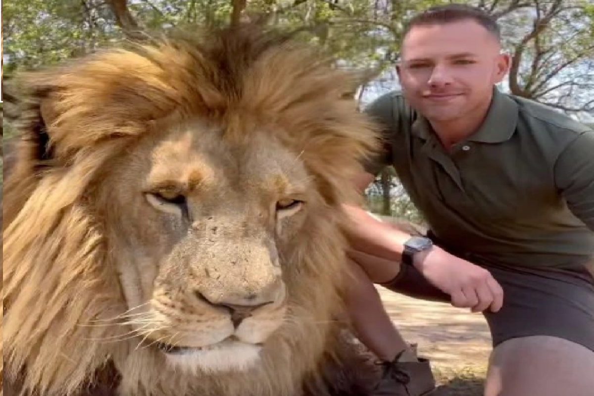 बाबो! थेट जंगलाच्या राजा सिंहाशीच तरुणाने केली मैत्री, 10 वर्षे त्याच्यासोबत राहिला अखेर...; शॉकिंग VIDEO VIRAL