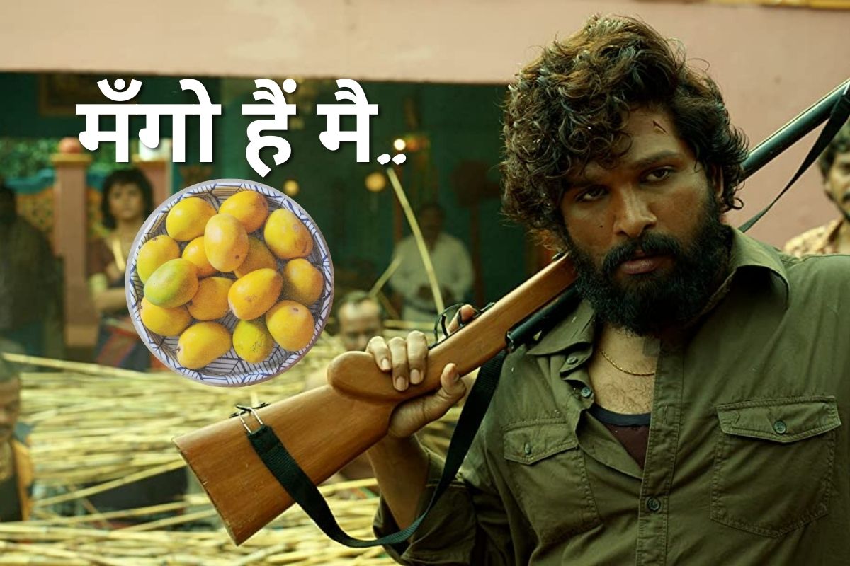 'गुलाब नाम सुनकर फ्लावर समजे क्या?, मॅंगो हैं मँगो', औरंगाबादमध्ये निजामकालीन 'या' आंब्यांना खवय्यांची पसंती