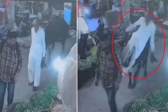 बापरे! वयोवृद्धाला बैलाने शिंगावर घेतलं अन् दूर फेकलं, नाशिकमधील LIVE VIDEO