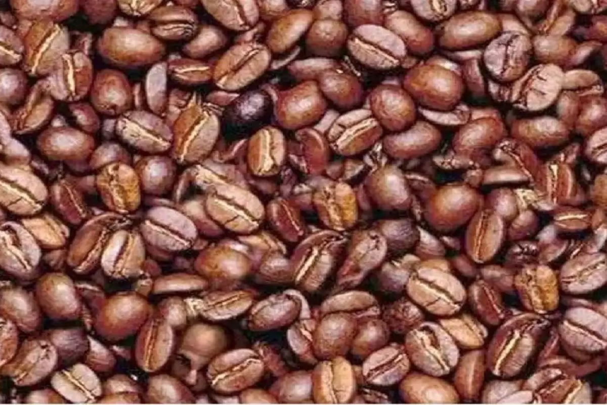 Optical Illusion: मेंदूला द्या ताण अन् शोधा कॉफीच्या बियांमध्ये लपलेला पुरुषाचा चेहरा, सापडला तर लगेच करा करा कमेंट