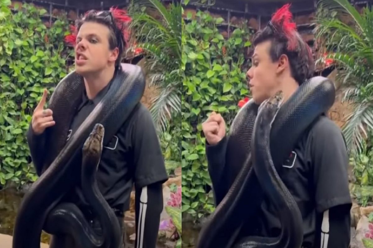 अवाढव्य अजगर मानेभोवती गुंडाळून देत होता पोझ; VIDEO चा शेवट पाहून अंगावर काटा येईल