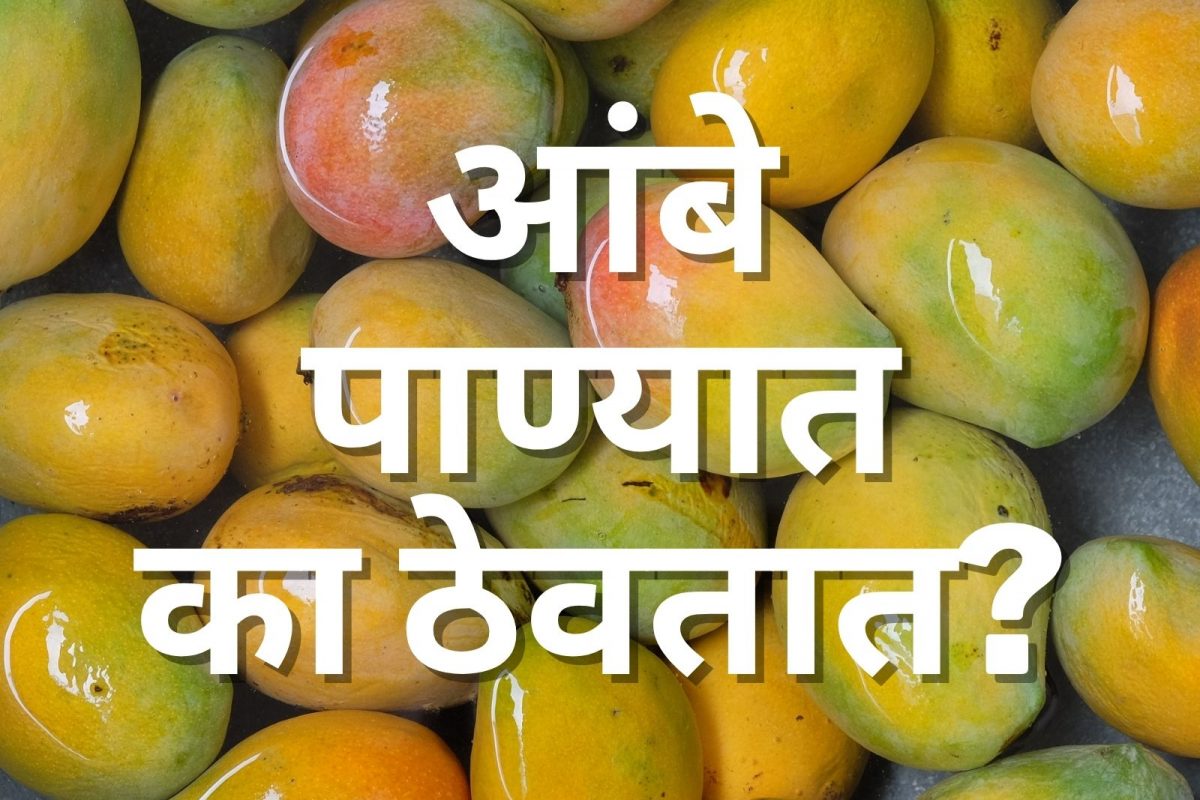 बाजारातून घरी आणलेले आंबे आज्जी पाण्यात का ठेवायची? कारण वाचून तुम्ही म्हणाल आज्जी इज ग्रेट