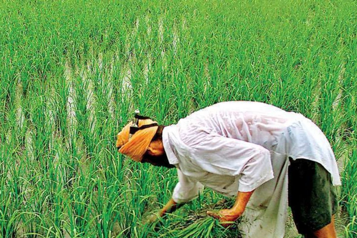 PM Kisan योजनेचे पुढचे पैसे हवे असतील तर आधी 'हे' काम करुन घ्या; लवकरच येणार पुढचा हप्ता