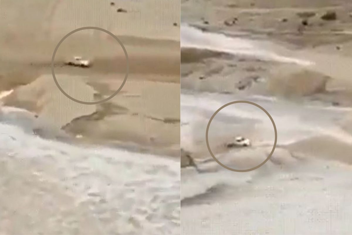 VIDEO: अचानक नदीचं पाणी वाढलं आणि पुरात अडकला कार चालक; पुढे जे घडलं ते हादरवून सोडणारं