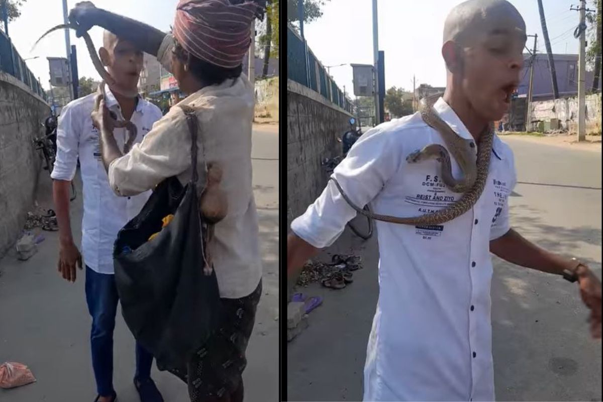 VIDEO: जबरदस्ती तरुणाच्या गळ्यात साप टाकून पैसे मागू लागला गारूडी; पुढे जे घडलं ते धक्कादायक
