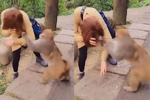 माकडाला त्रास देणं महिलेला भोवलं; प्राण्यानं केली भयंकर अवस्था, VIDEO